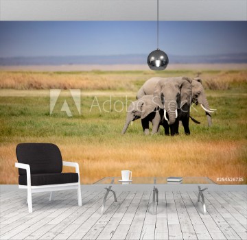 Picture of A group of elephants gathered tightly together in the grassland of Africa